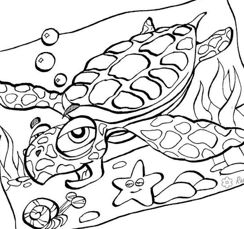 подводный мир морская черепаха
