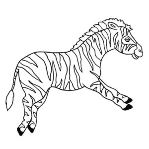 полосатая зебра