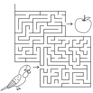 Попугай хочет яблоко