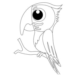 Попугай с большими глазами
