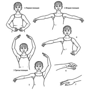 Позиции балерин для рук