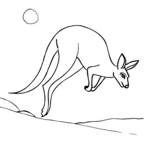 прыгун кенгуру