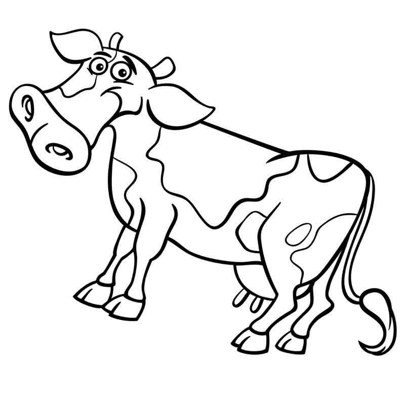 Прикольная корова