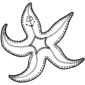 прикольная морская звезда