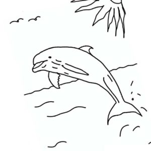 прыжок дельфина в море