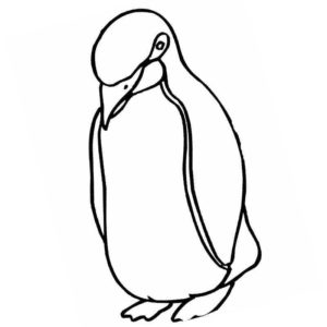 птица пингвин