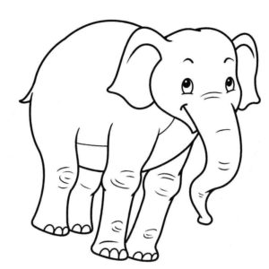 радостный слон