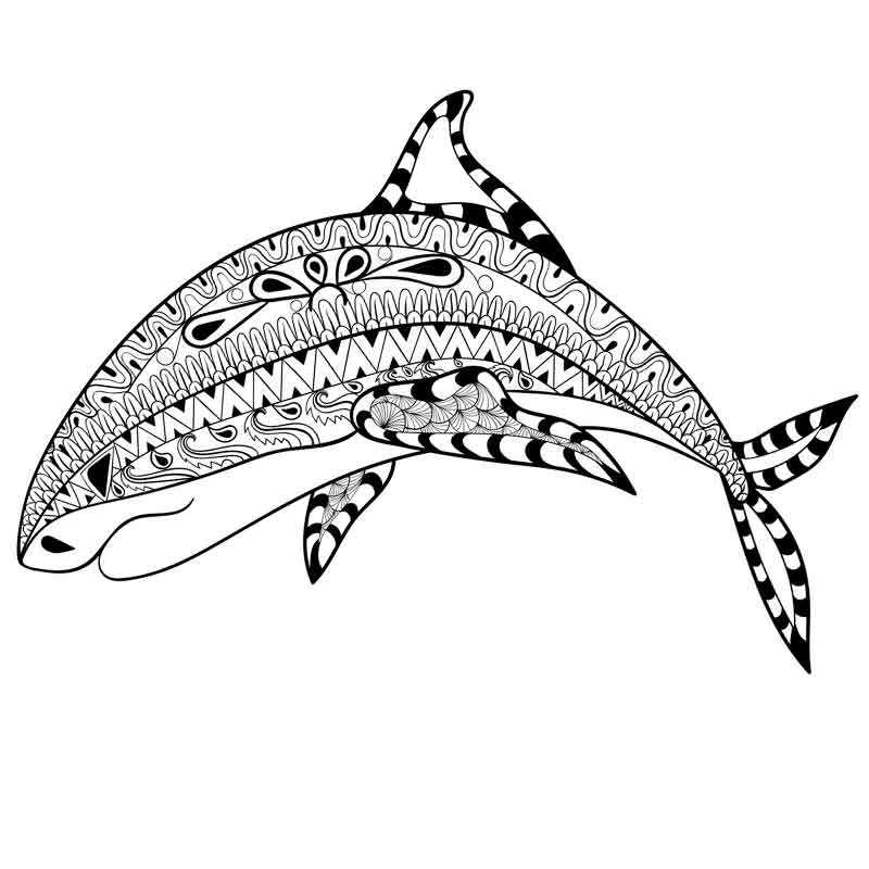 Раскраска Хитрая акула
