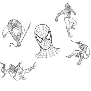 Разный Человек паук