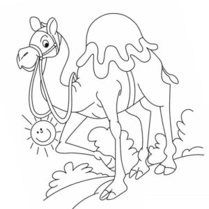 счастливый верблюд в пустыни на солнце