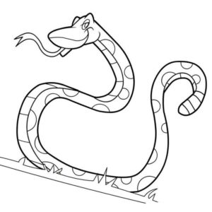 счастливый вид змеи
