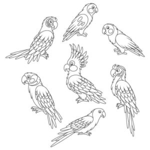 Семь попугаев