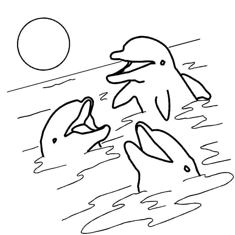 семья дельфинов играет в море