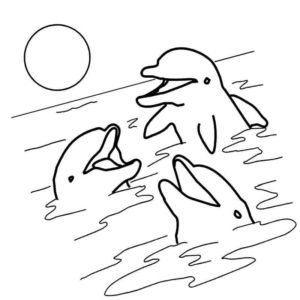 семья дельфинов играет в воде