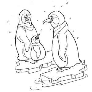семья пингвинов