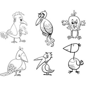 Шесть разных попугаев