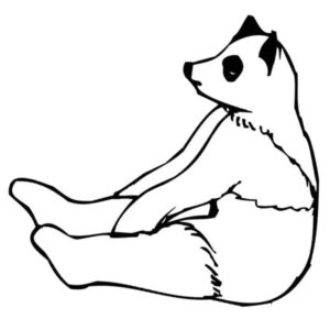 сидячая панда