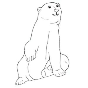 сидячий белый медведь