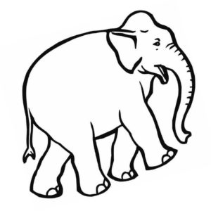 сильный слон