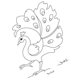 сказочная птица павлин