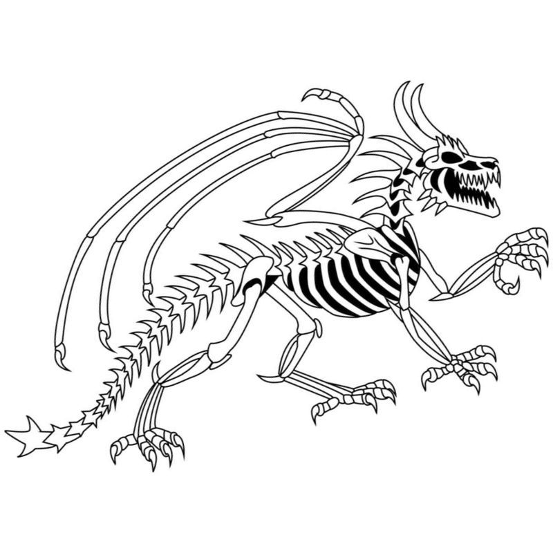 скелет дракона