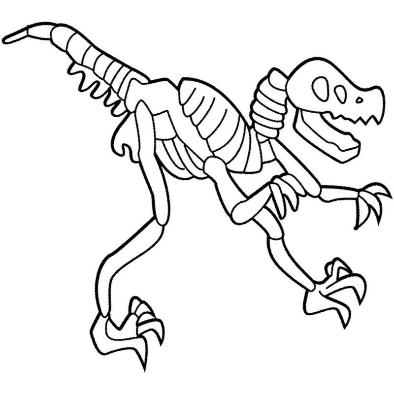 скелет древнего динозавра