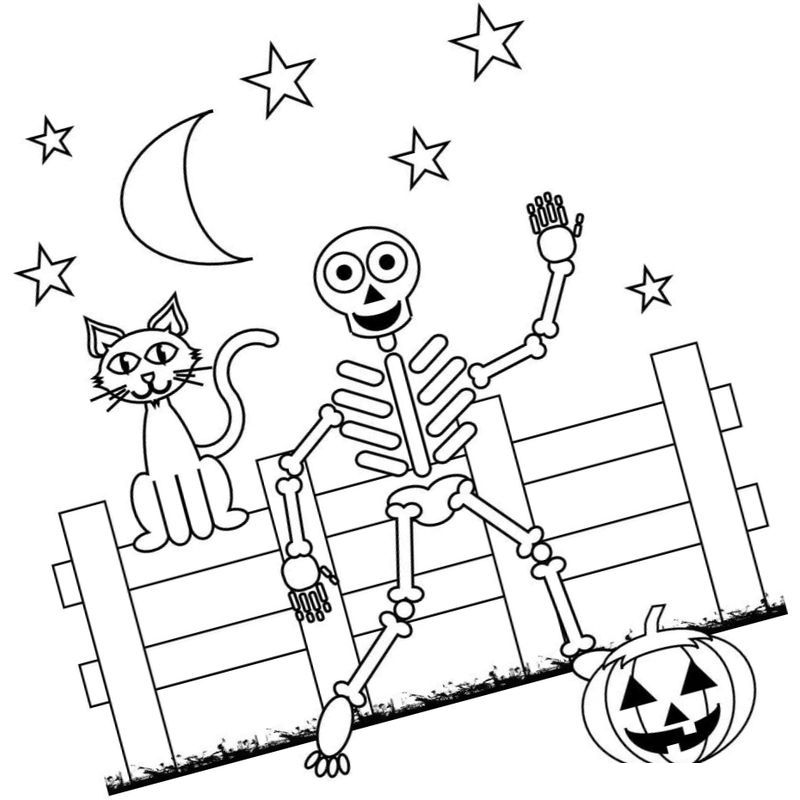 скелет кот и тыква под луной