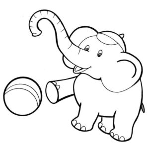 слон играет с мячом