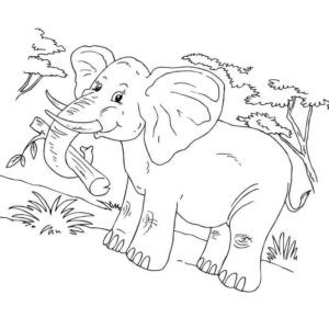 слон с бревном