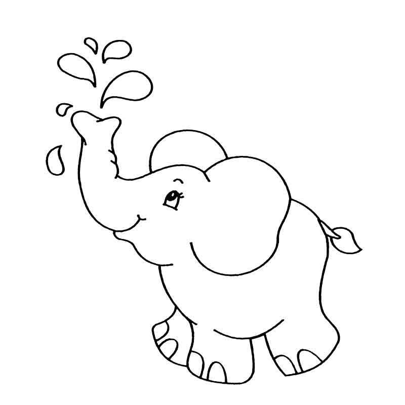 слон умывается