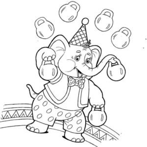 Слон в цирке