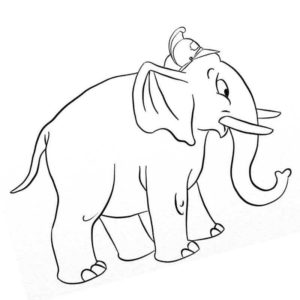 слон в каске