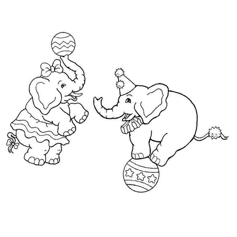 Раскраски слоны для печати - Раскраски для детей печать онлайн