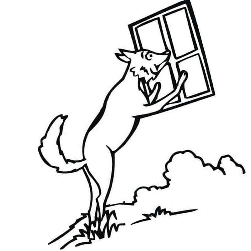 собака заглядывает в окно