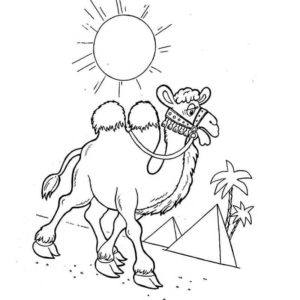 солнце и пустыня с верблюдом