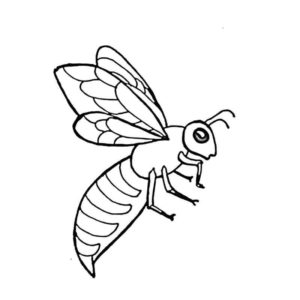 Современная пчела