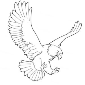 степной орел