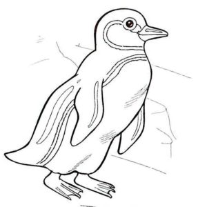 стоящий пингвин