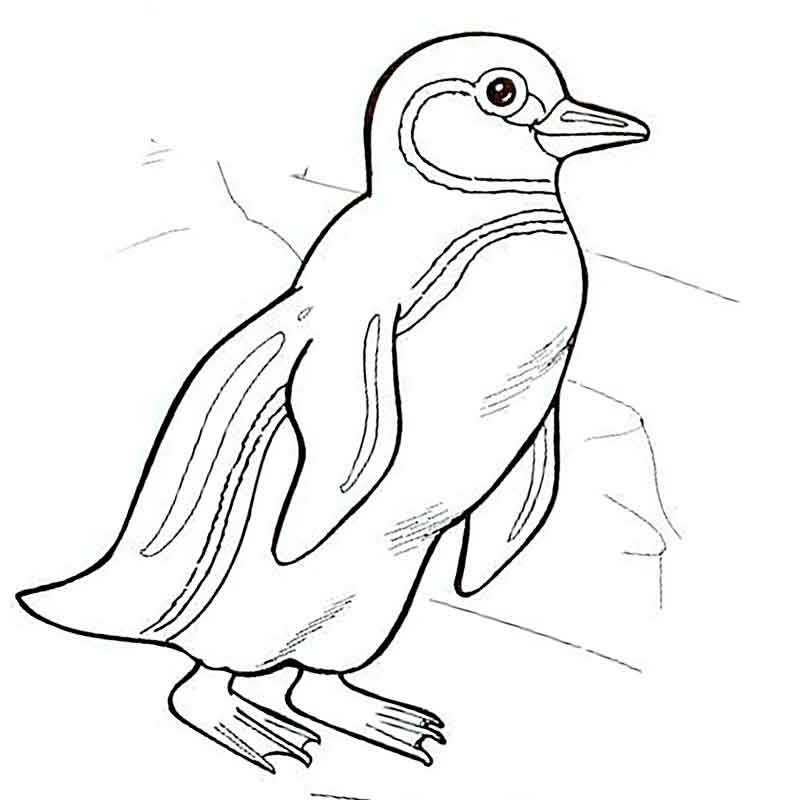 стоящий пингвин