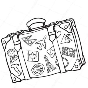 сумочка для путешествий