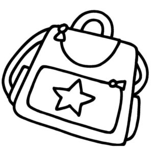 сумочка со звездой