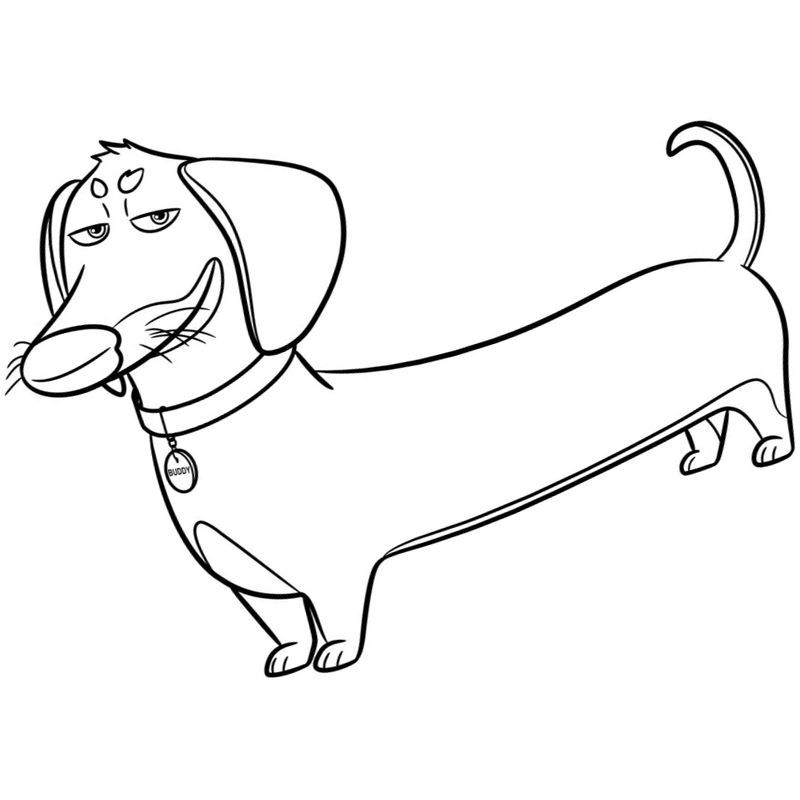 тайная жизнь домашних животных длинный пес Бадди