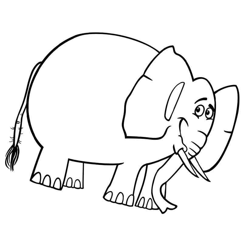 Толстенький слон