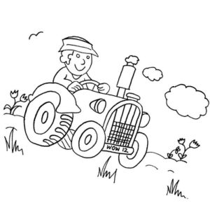 Тракторист в поле