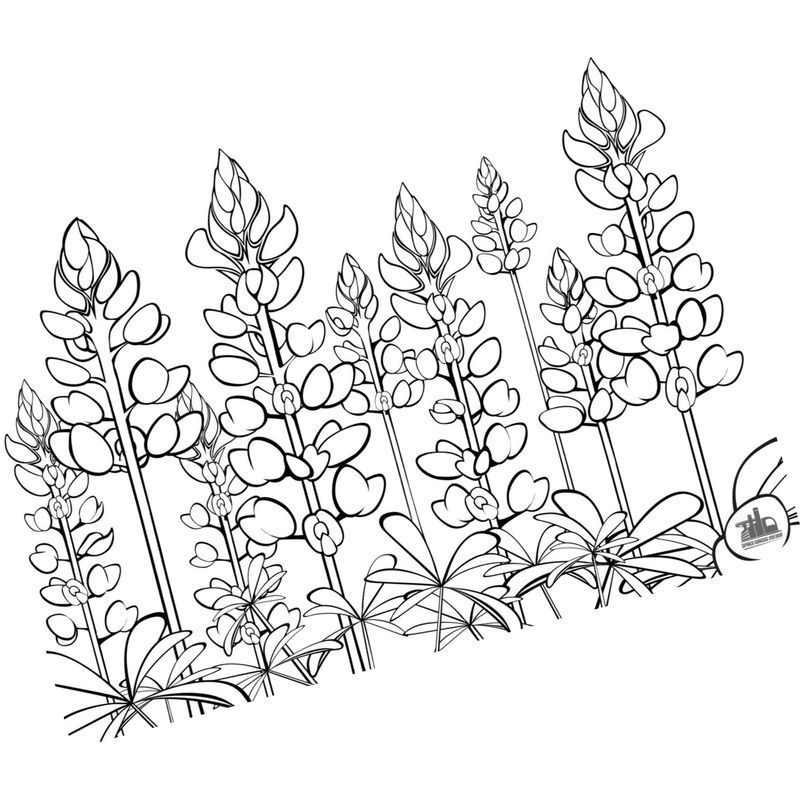 Трава с шишками — 8 букв сканворд