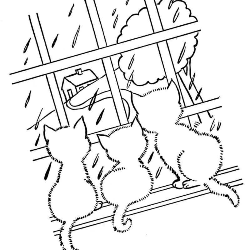 три котенка смотрят в окно