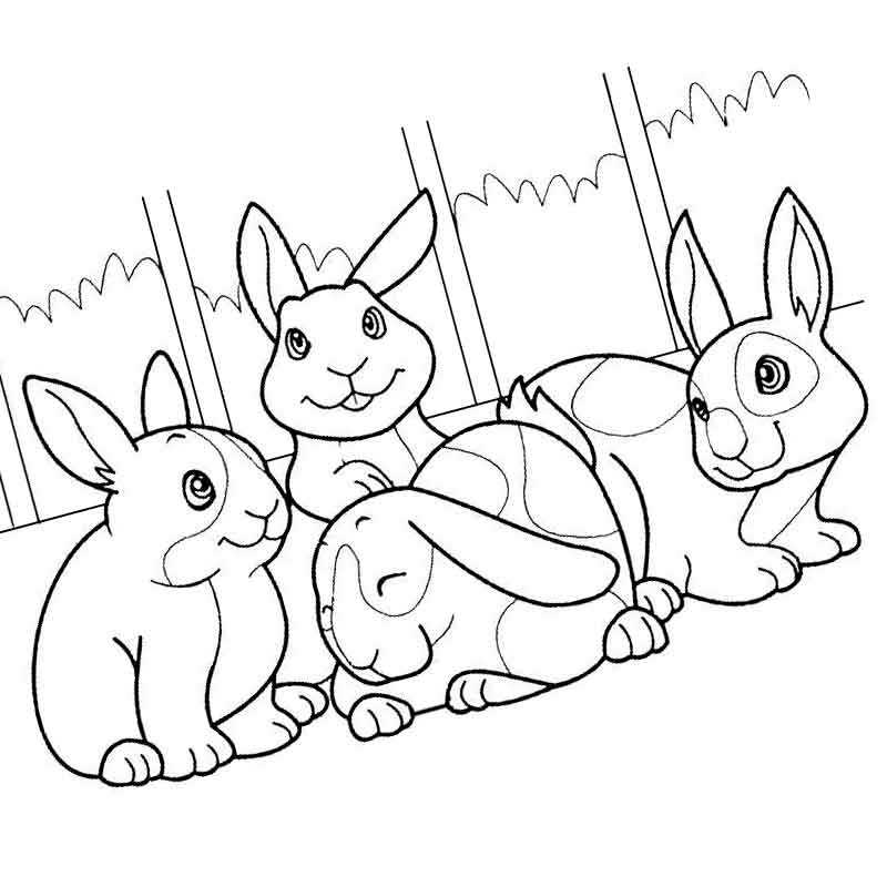 три веселых кролика