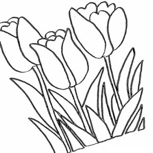 Тюльпаны на 8 марта