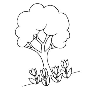 тюльпаны под деревом