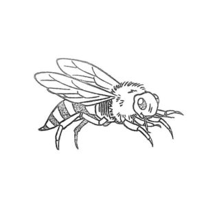 Успешная пчела